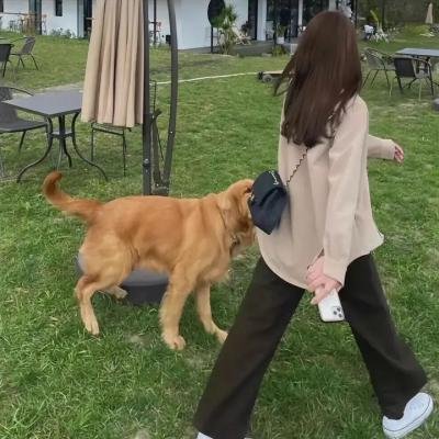 钱不够用